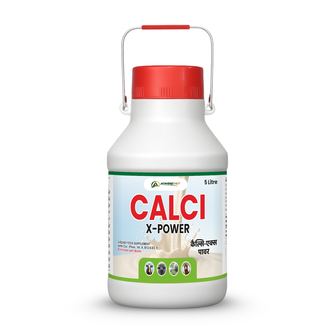 CALCI X-POWER